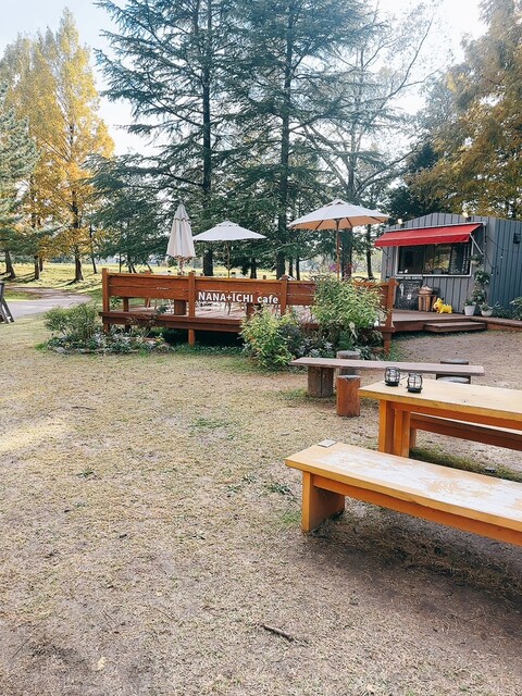 SUNNY SITE COFFEE（サニーサイトコーヒー） - 泉中央（カフェ）の写真