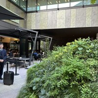 THE CARNE tokyo - 