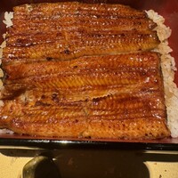 うなぎ 目白ぞろ芽 - 