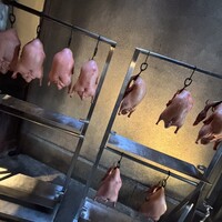 大傳梅梅 - 
