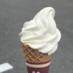 Arayada Okusan Inabe Ten