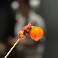 鳥おか - 