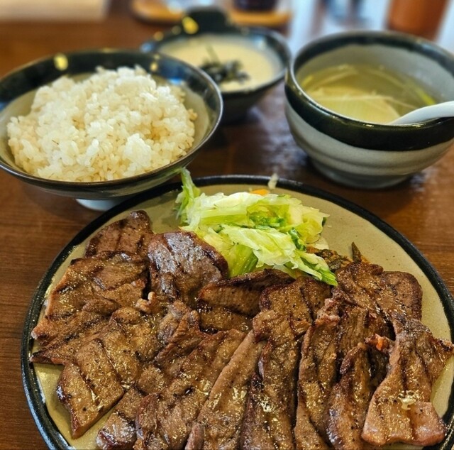 ドギーマン 紗 国産牛正肉 六穀と鶏ササミ入り 100g×24コ