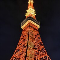 ワカヌイ グリル ダイニング バー 東京 - 