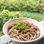 池内うどん店 - 