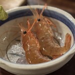 ぽんぽこたぬきのかくれ家 - 