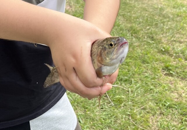アクアマリンいなわしろカワセミ水族館 ミュージアムショップ - 翁島（その他）の写真