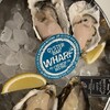 Oyster bar & Bistro Wharf 有楽町