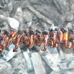 炭焼うなぎ ひゃくわ亭 - 