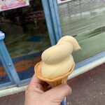 蒲郡オレンジパーク - 