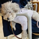 SHOZO COFFEE KARUIZAWA - 