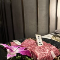 PONGA PREMIUM -  PONGA PREMIUM -