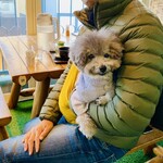 そば処 にし川 - 