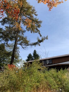 そば処 にし川 - 