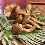 緒方 - 丹波篠山産松茸