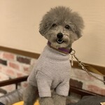 Le Chien Kyu Karuizawa