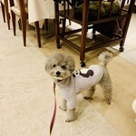 Le Chien Kyu Karuizawa