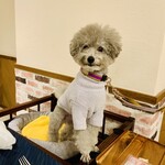 Le Chien Kyu Karuizawa