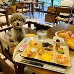 Le Chien Kyu Karuizawa