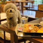 Le Chien Kyu Karuizawa