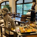 Le Chien Kyu Karuizawa