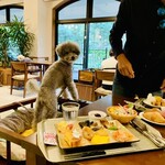 Le Chien Kyu Karuizawa