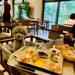 Le Chien Kyu Karuizawa