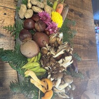 Terroir愛と胃袋 - 