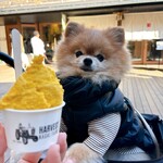 ハーベスト ナガイファーム - 