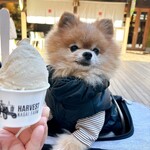 ハーベスト ナガイファーム - 