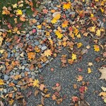 ザ・リッツ・カールトン日光 - 