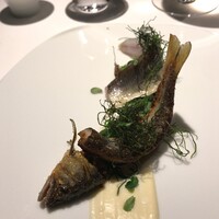 レフェルヴェソンス - 