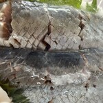 サカナゴコロ - 