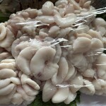 サカナゴコロ - 