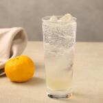 備長炭炭火焼鳥 ニセコおでん影 - 