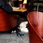 Roasted COFFEE LABORATORY - 