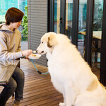 隠れ家キッチン NaNon. - わんちゃんシーン2