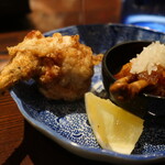 鳥さわっつ - 大山鷄チューリップ