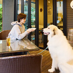 隠れ家キッチン NaNon. - わんちゃんシーン1