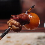 鳥さわっつ - ちょうちん