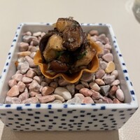 L'ETERRE - 