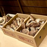 徳ㇵ本也 - 高野山の松茸