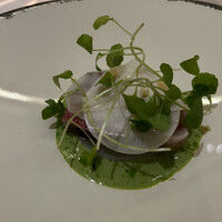 Noeud.×THE CHEF'S - 