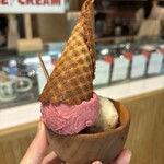 KIKI NATURAL ICECREAM - 