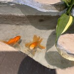 MOKU glass gallery cafe - 