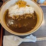 葉隠 - 半カレーライス。半カレー丼とは違う。ややビターなのが良い。