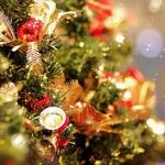 ASIAN FRENCH DINING 味市場 - 