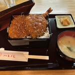 ソースかつ ごはん処 ハレノヒ - 