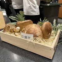 きたしんち 弓場慎之佑 - 