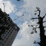 Yoshinosushi - 横で近代建築物が建ち続ける・・・